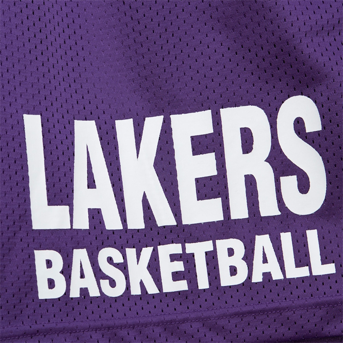 Pantalone Los Angeles Lakers Mitchell & Ness Hardwood Classics Violeta